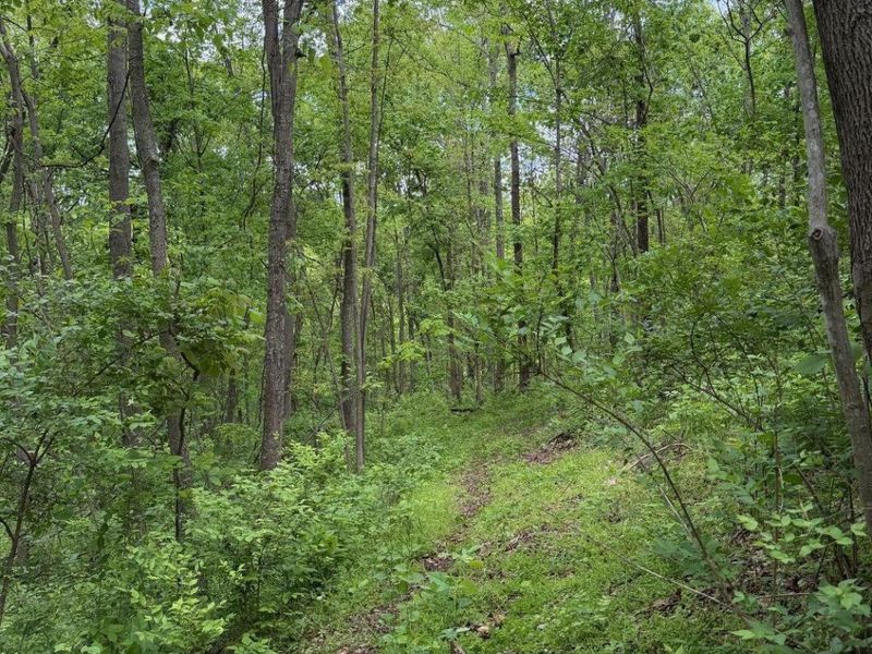 3486 Rankin Mill Road, Falmouth, KY 41040 Photo 39