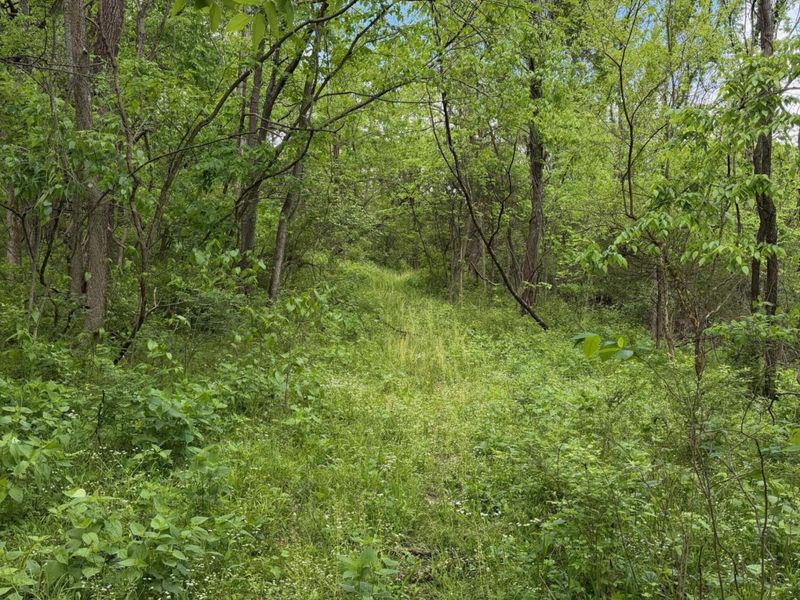 3486 Rankin Mill Road, Falmouth, KY 41040 Photo 43