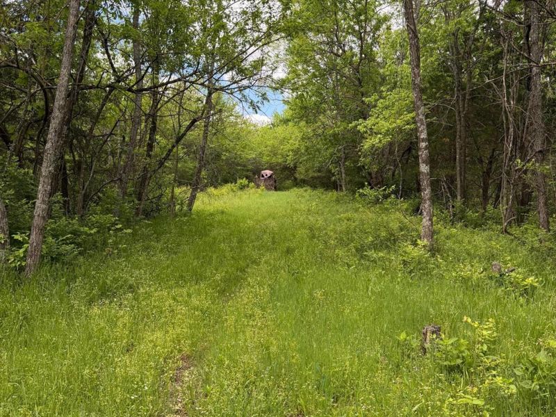 3486 Rankin Mill Road, Falmouth, KY 41040 Photo 45