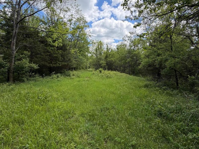 3486 Rankin Mill Road, Falmouth, KY 41040 Photo 46