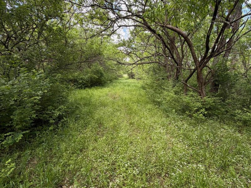 3486 Rankin Mill Road, Falmouth, KY 41040 Photo 48