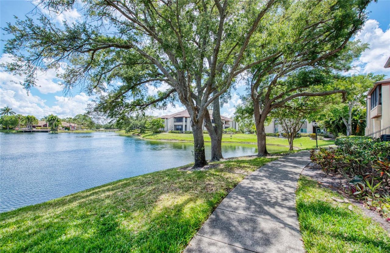 10263 Gandy Boulevard N, Unit 2110, Saint Petersburg, FL 33702 Photo