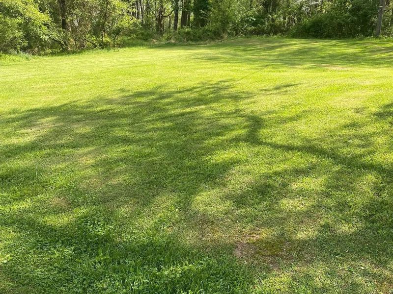 11271 Hamby Hill Road, Frazeysburg, OH 43822 Photo 2