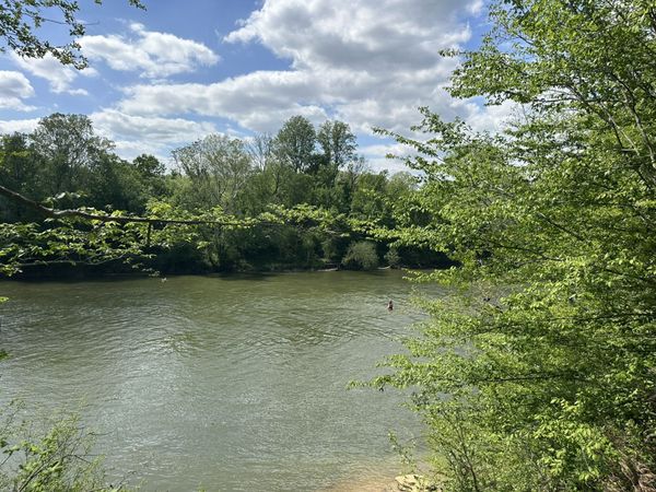 341 Horseshoe Bend Ln, Elmwood, TN 38560