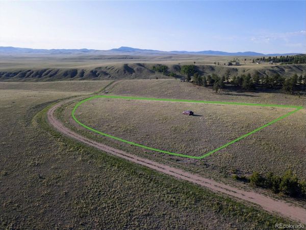 767 Brahma Circle, Hartsel, CO 80449