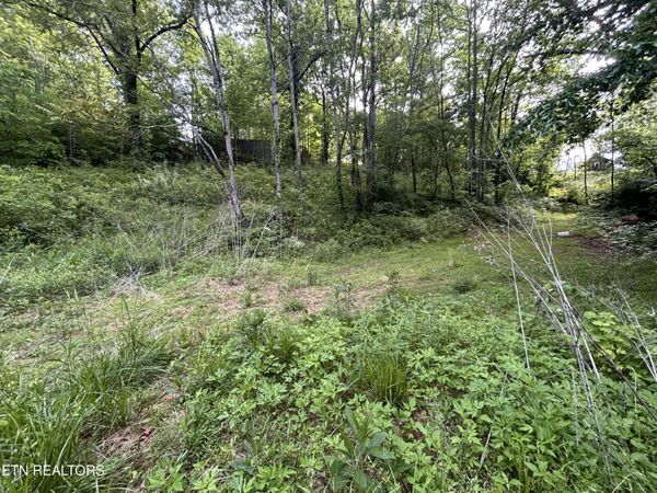 Lot 32 Ernie Roberts Rd, Rutledge, TN 37861