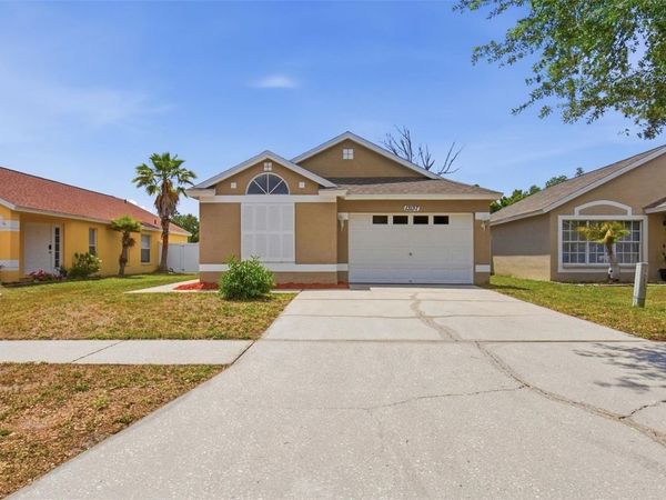 13137 CARROLLWOOD CREEK DRIVE, TAMPA, FL 33624