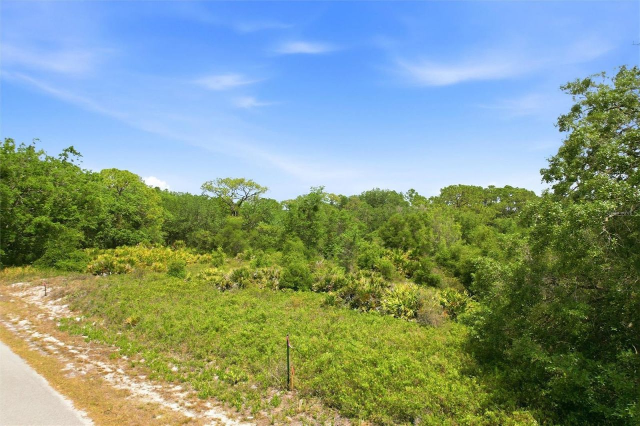 3392 Gossamer Avenue, Lake Placid, FL 33852 Photo