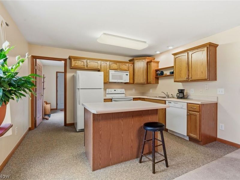 9084 Plymouth Street, Hanoverton, OH 44423 Photo 13