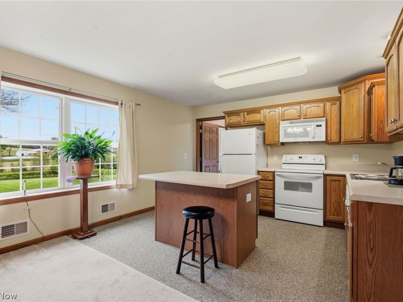 9084 Plymouth Street, Hanoverton, OH 44423 Photo 14