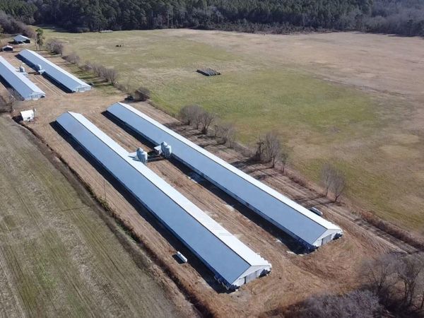 16681 Lauch Blue Road, Gibson, NC 28343