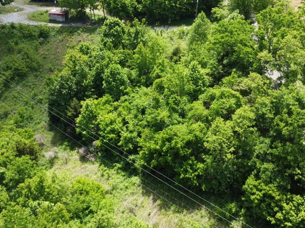 801 Old Highway 25E , Thorn Hill, TN 37881