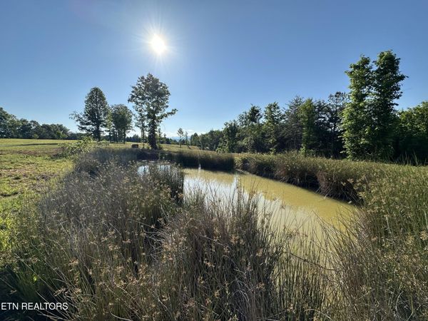 Lot 7 Curtis Rd, Tellico Plains, TN 37385