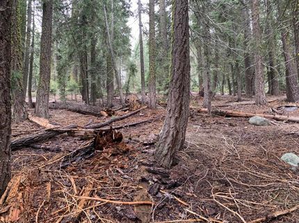 1187 Regency Way, Tahoe Vista, CA 96148 Photo