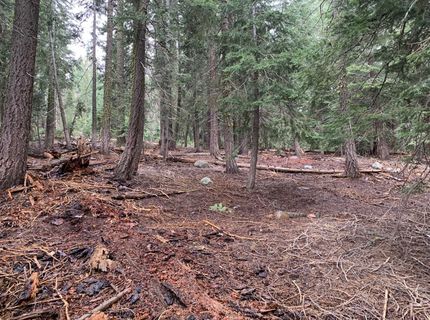 1187 Regency Way, Tahoe Vista, CA 96148 Photo
