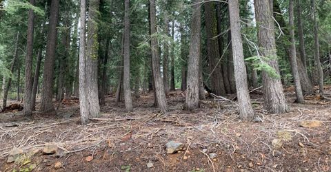 1187 Regency Way, Tahoe Vista, CA 96148 Photo