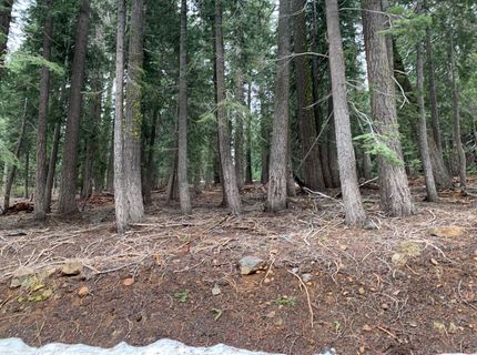 1187 Regency Way, Tahoe Vista, CA 96148 Photo