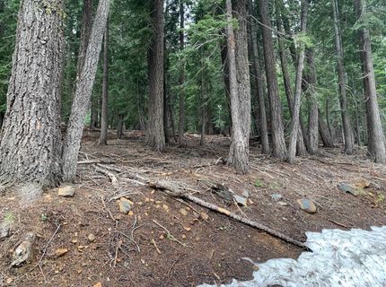 1187 Regency Way, Tahoe Vista, CA 96148 Photo