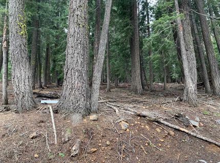 1187 Regency Way, Tahoe Vista, CA 96148 Photo