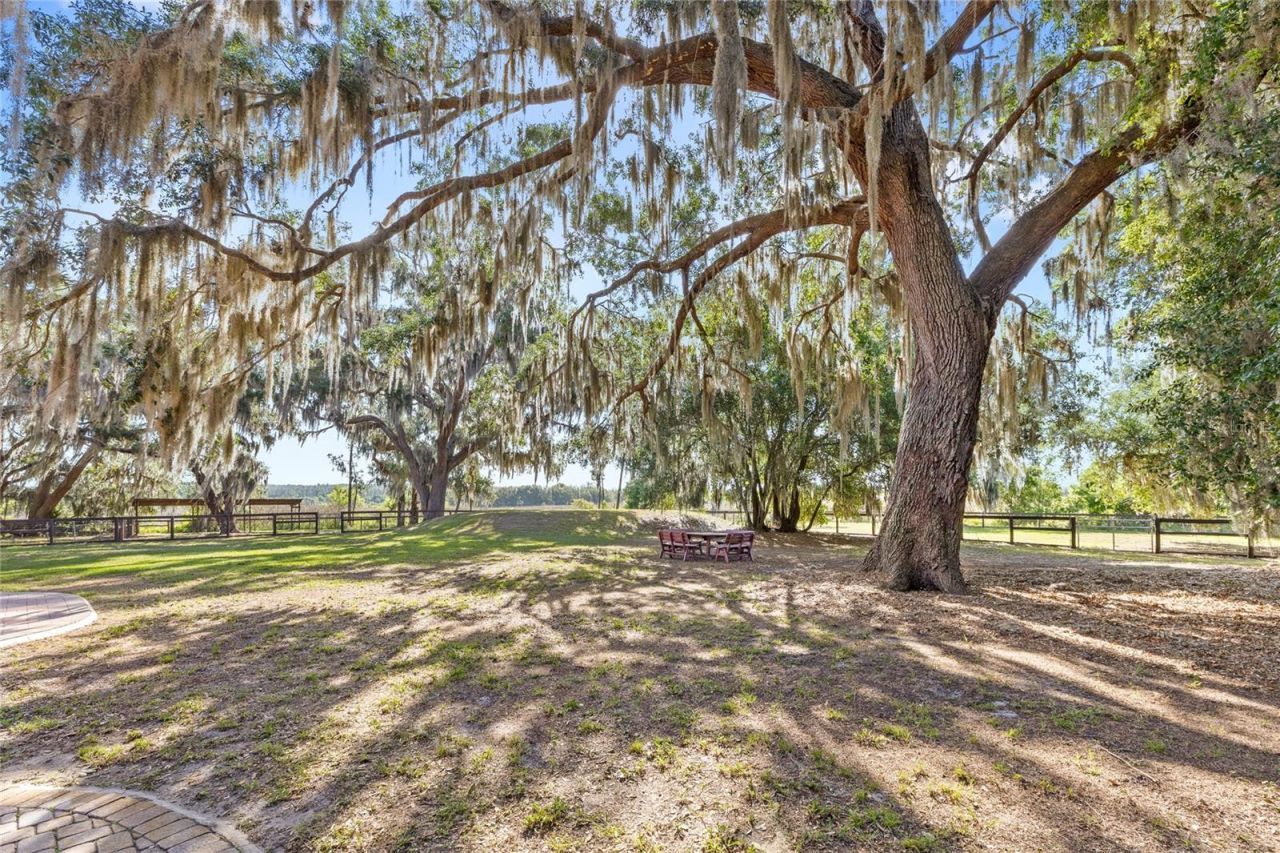 10925 Arrowtree Boulevard, Clermont, FL 34715 Photo