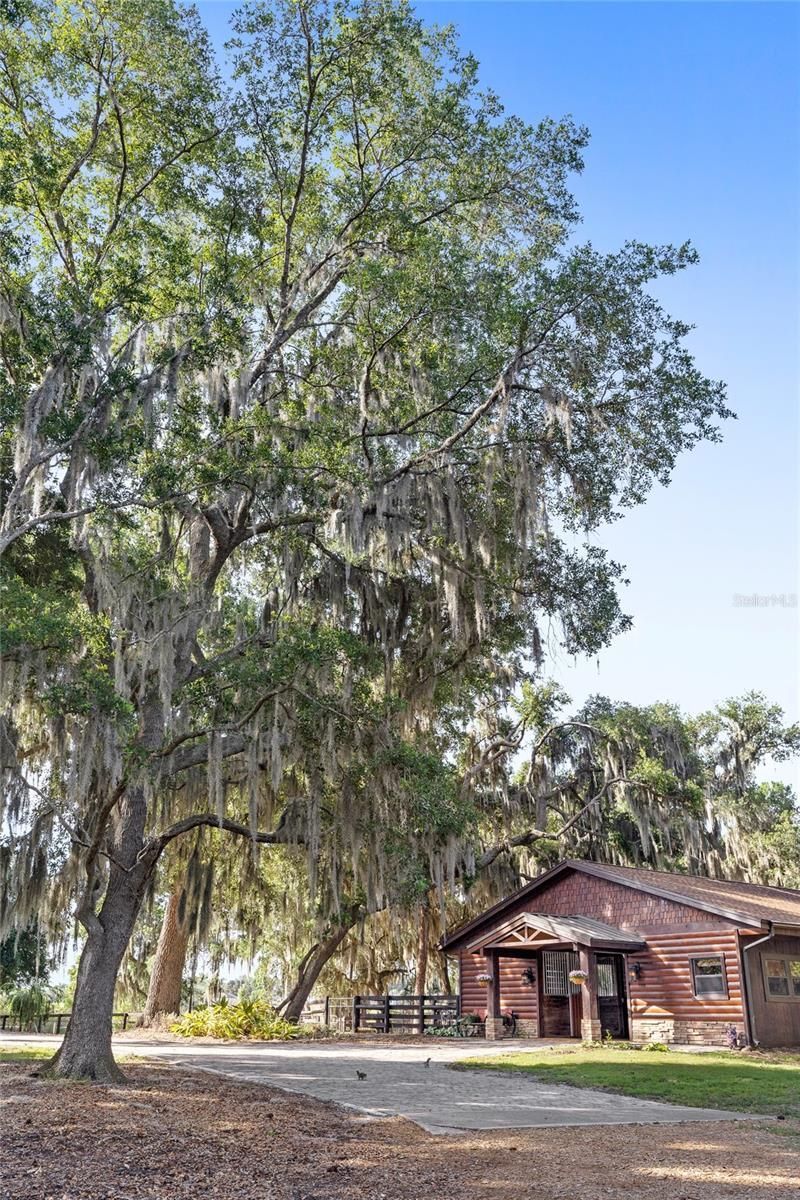 10925 Arrowtree Boulevard, Clermont, FL 34715 Photo