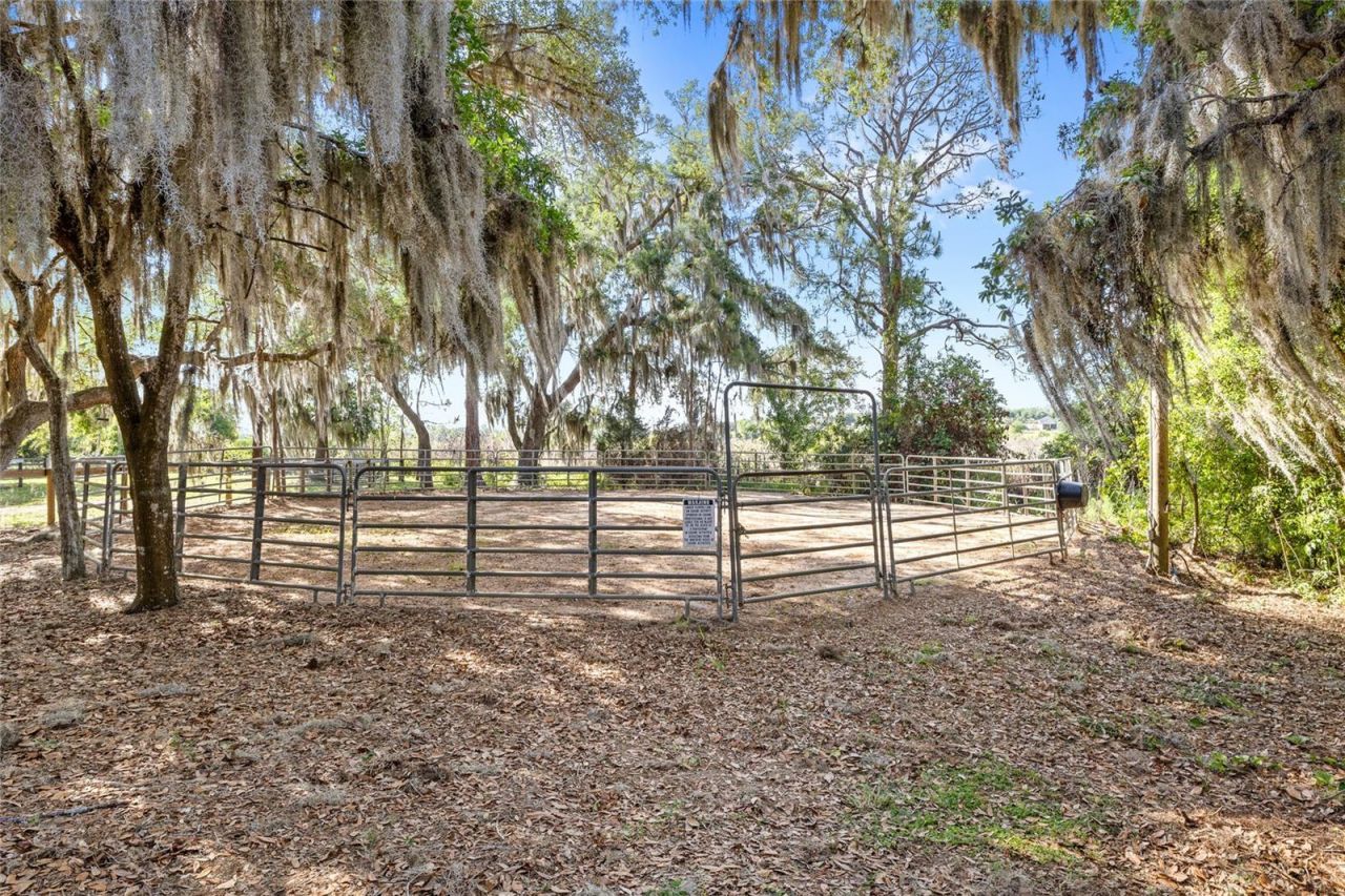 10925 Arrowtree Boulevard, Clermont, FL 34715 Photo