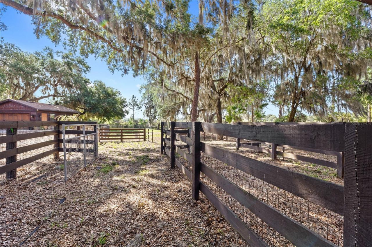10925 Arrowtree Boulevard, Clermont, FL 34715 Photo