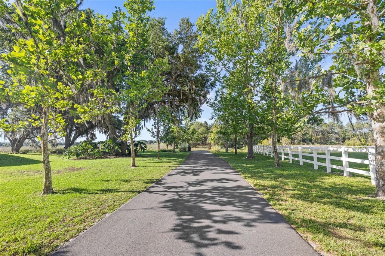 10925 Arrowtree Boulevard, Clermont, FL 34715 Photo