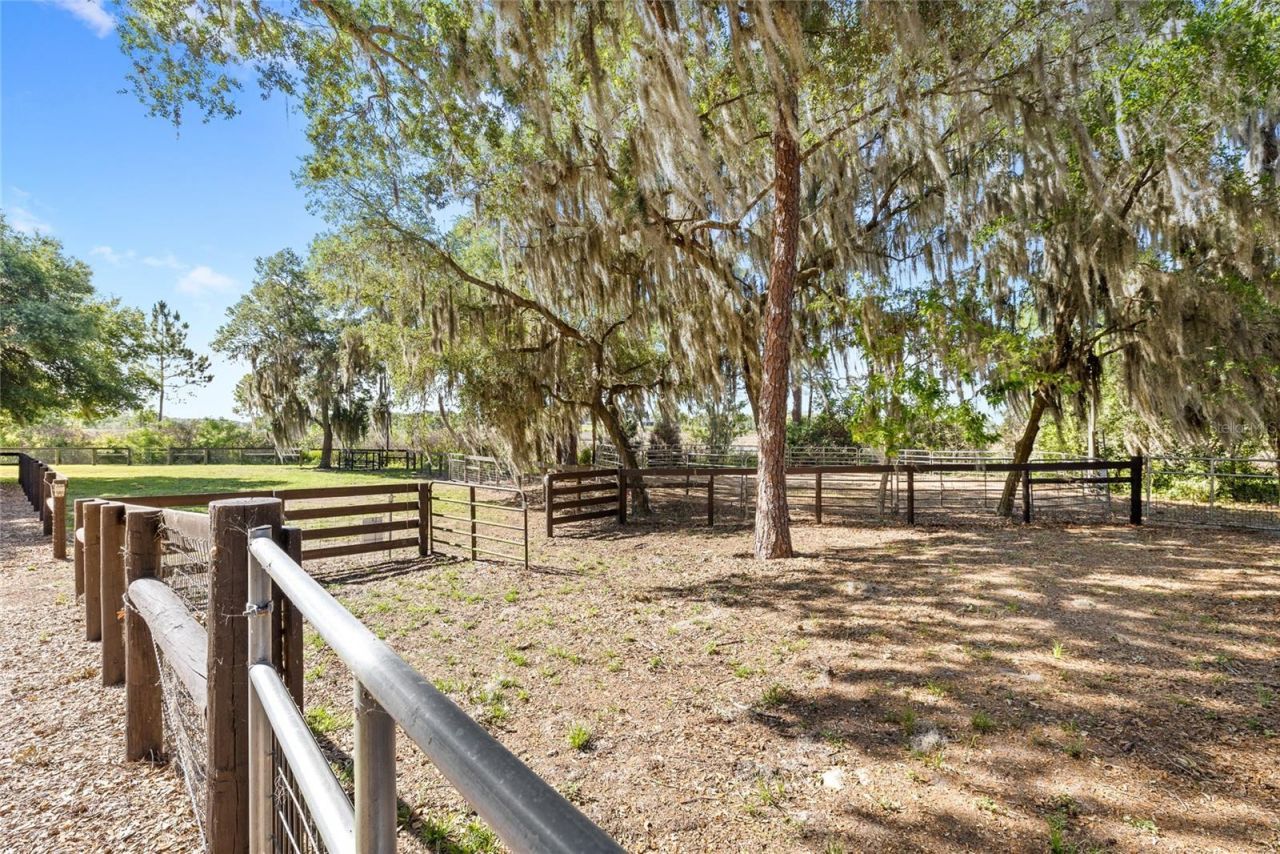 10925 Arrowtree Boulevard, Clermont, FL 34715 Photo