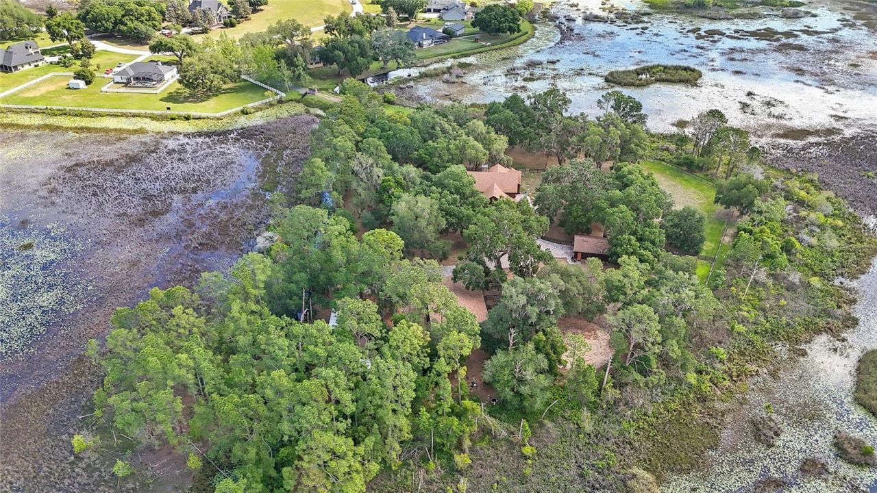 10925 Arrowtree Boulevard, Clermont, FL 34715 Photo