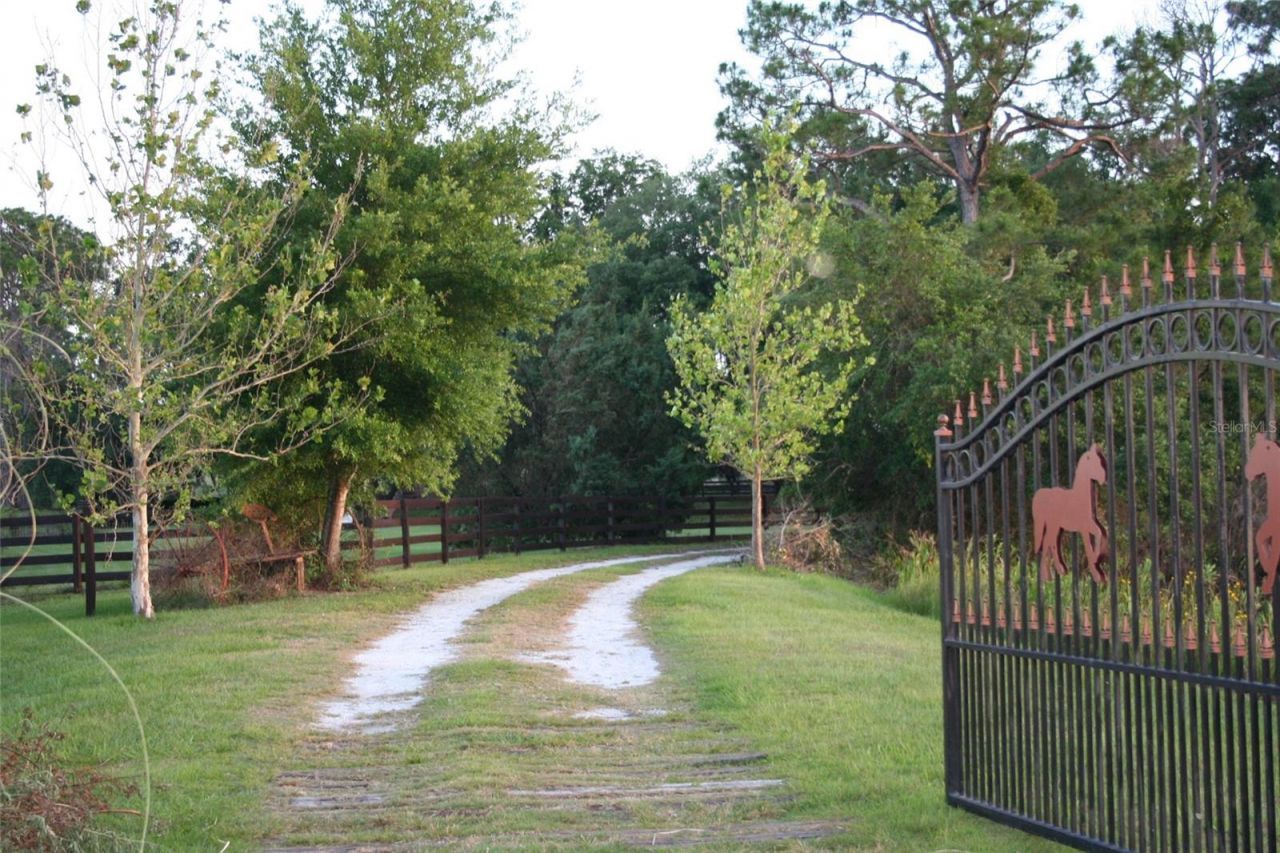 10925 Arrowtree Boulevard, Clermont, FL 34715 Photo