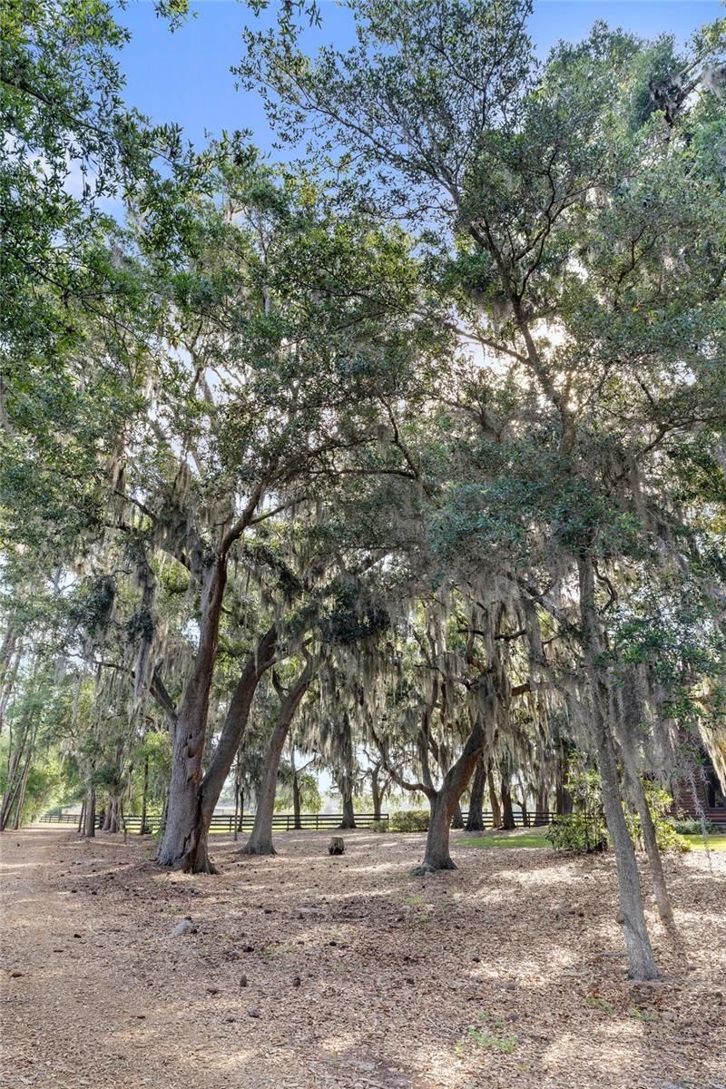 10925 Arrowtree Boulevard, Clermont, FL 34715 Photo