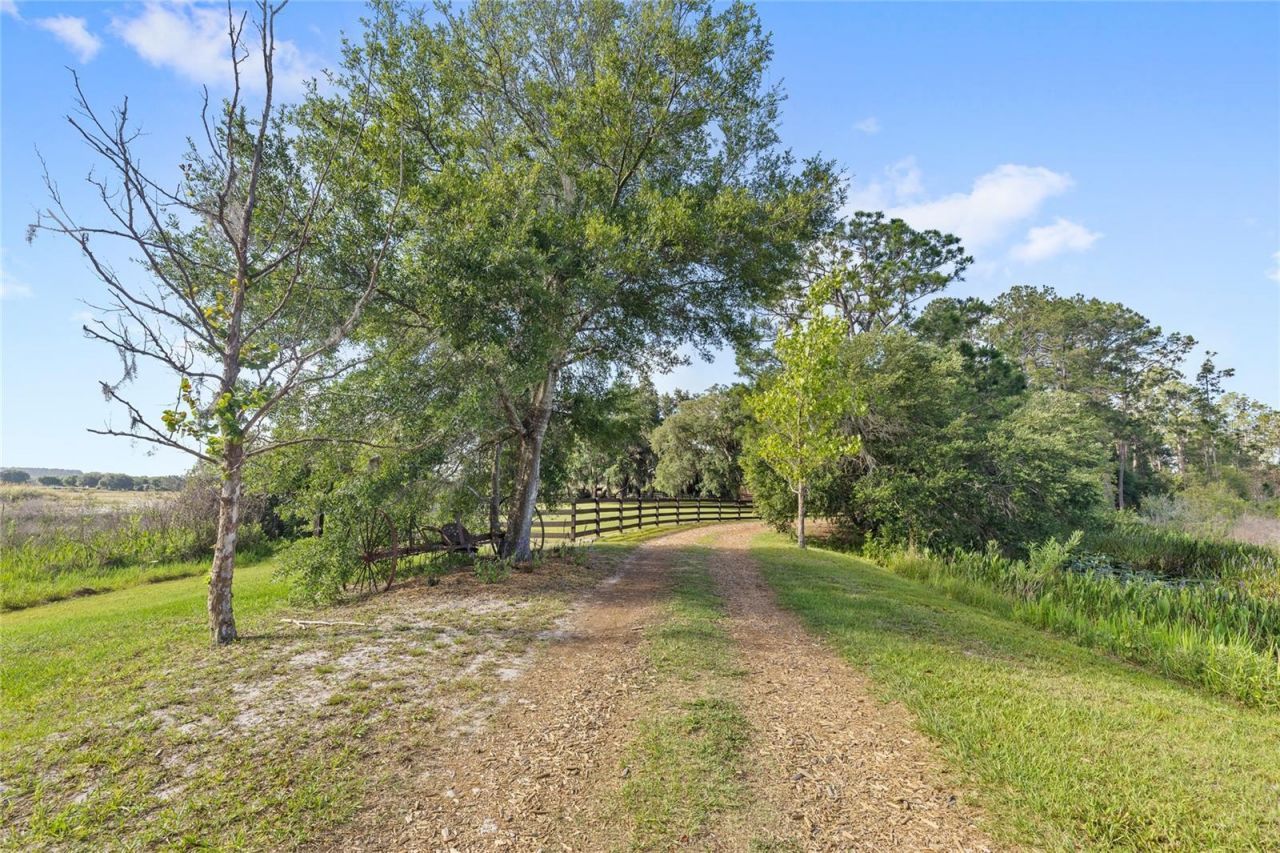 10925 Arrowtree Boulevard, Clermont, FL 34715 Photo