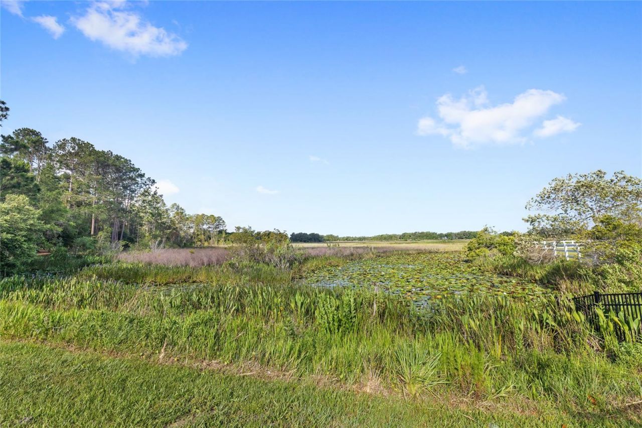 10925 Arrowtree Boulevard, Clermont, FL 34715 Photo