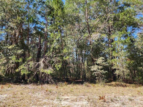 Kitty Ave, Interlachen, FL 32148