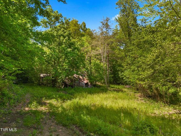1243 Brandon Hollow Lane, Bulls Gap, TN 37711