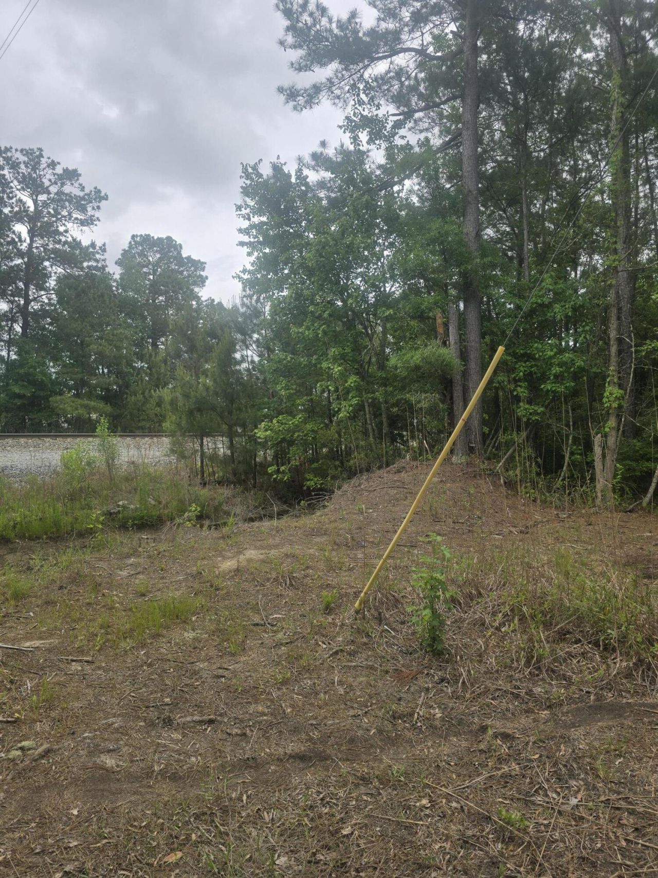 0 Pete Ewers Drive Photo 10