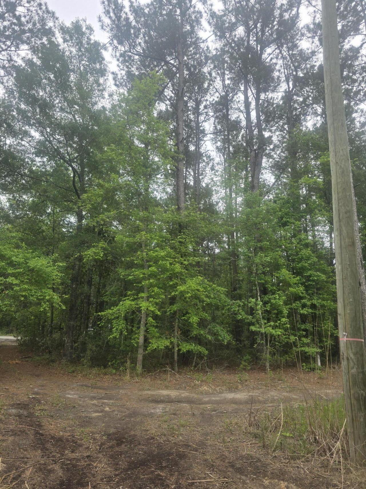 0 Pete Ewers Drive Photo 11