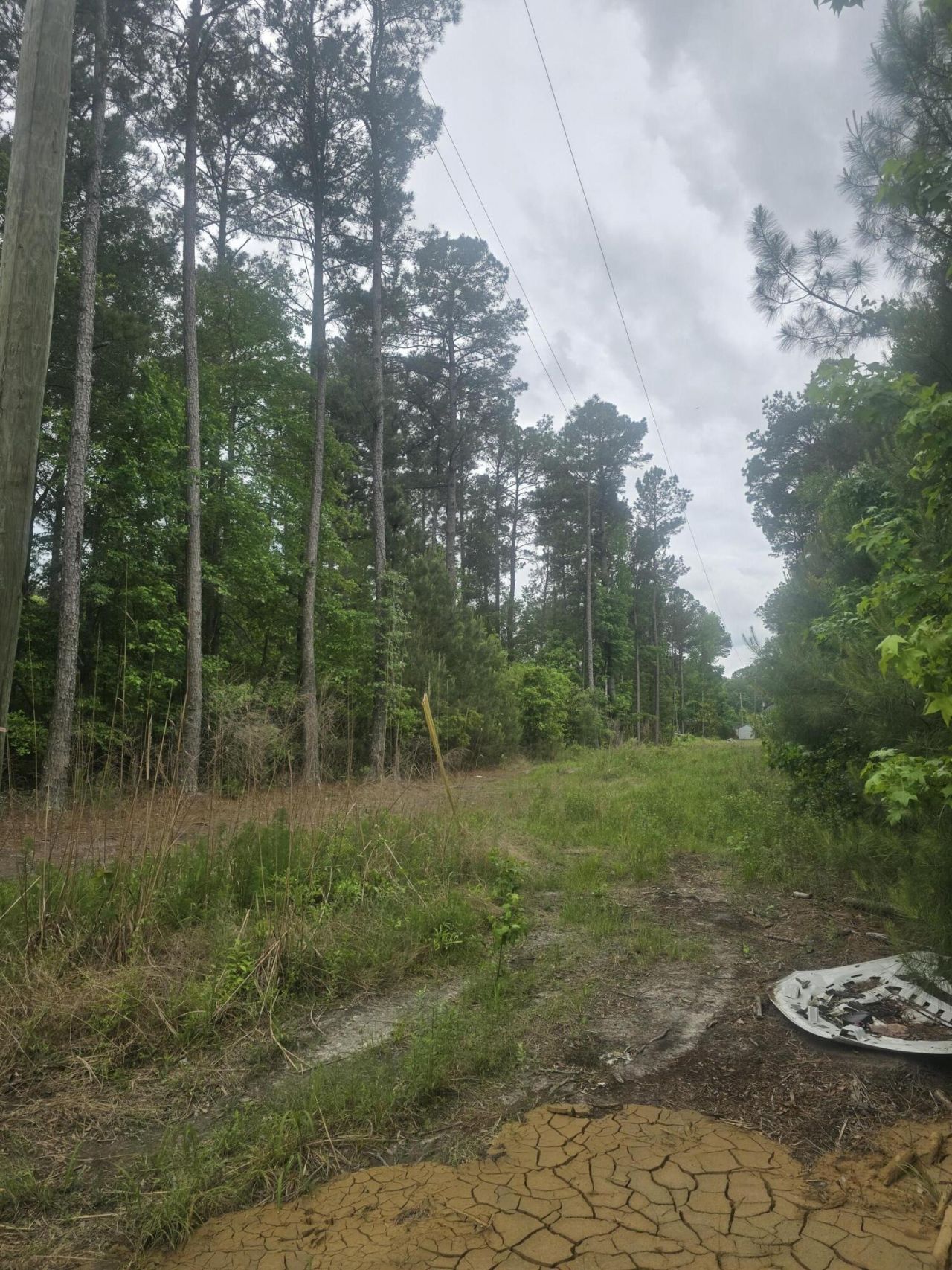 0 Pete Ewers Drive Photo 12