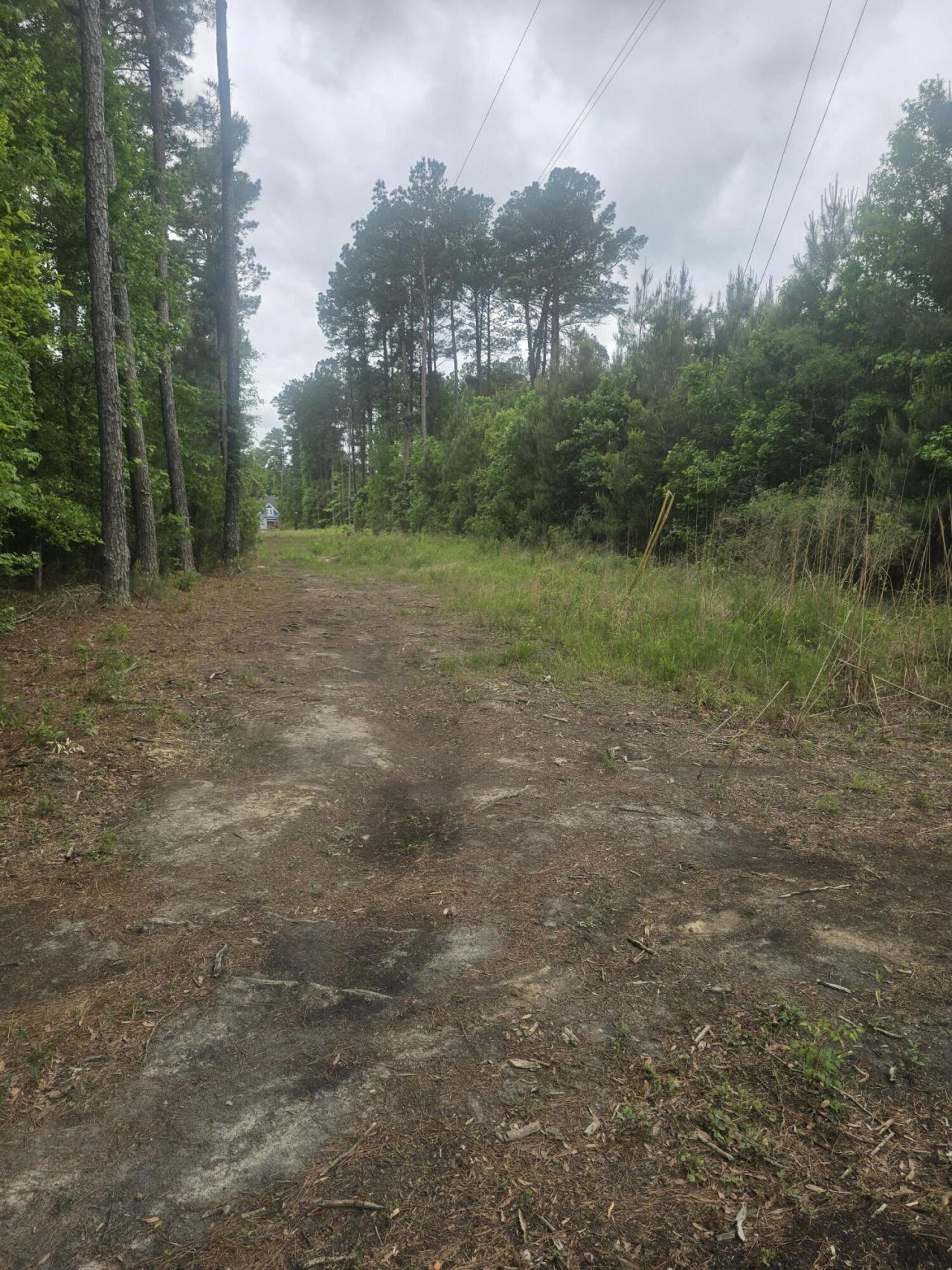 0 Pete Ewers Drive Photo 14