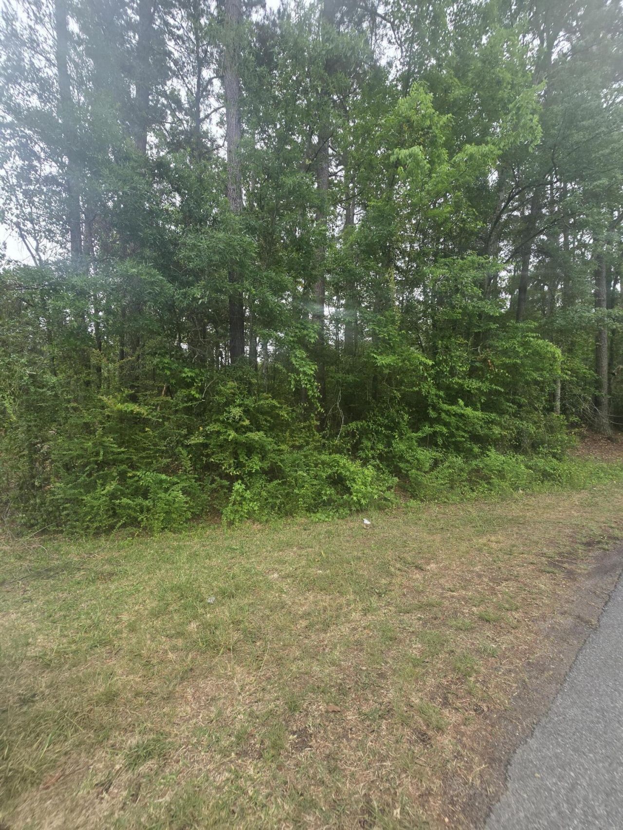 0 Pete Ewers Drive Photo 17
