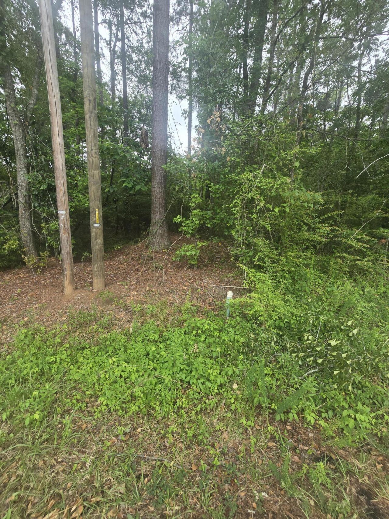 0 Pete Ewers Drive Photo 19