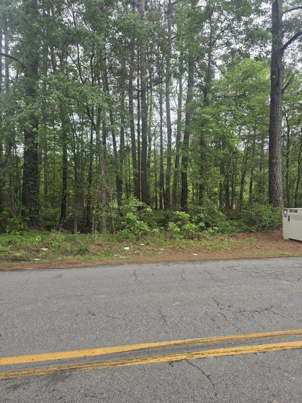 0 Pete Ewers Drive Photo 4