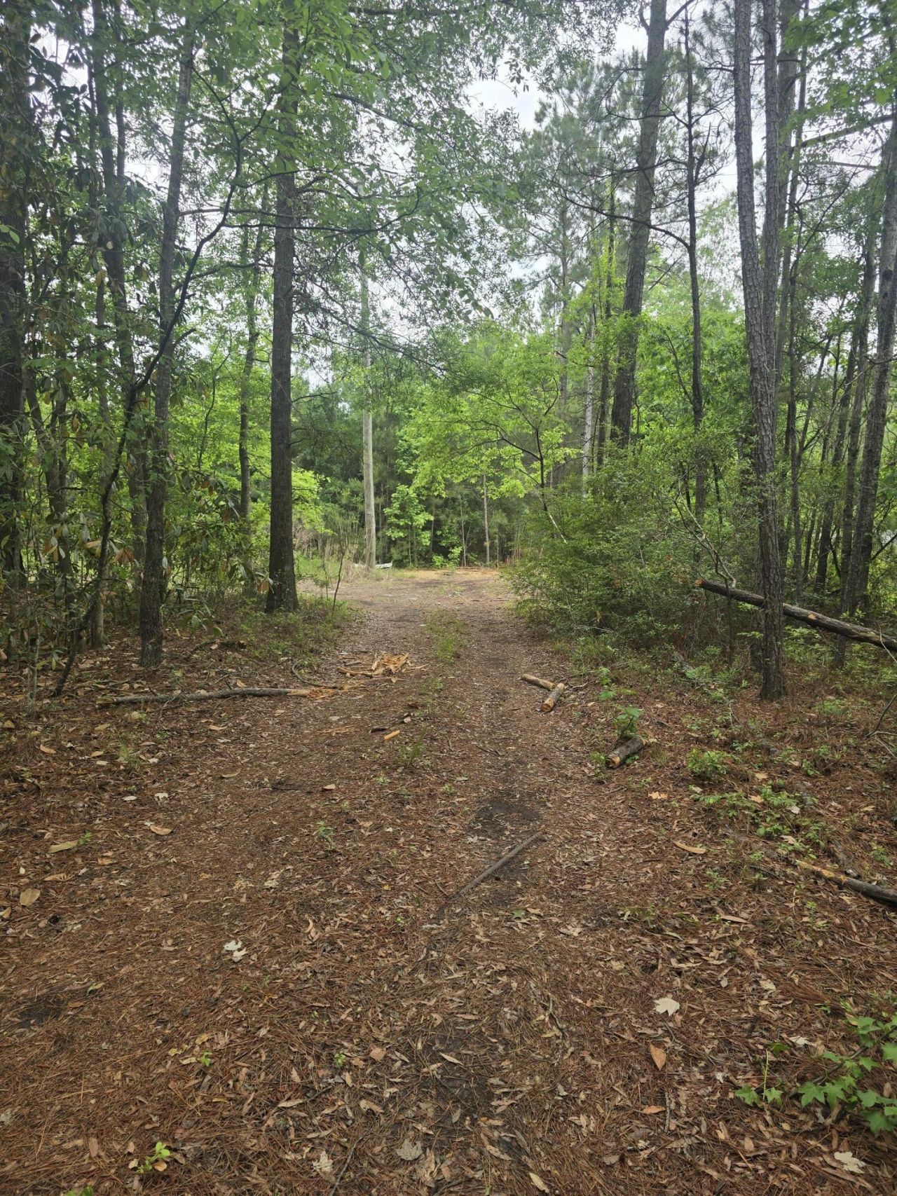 0 Pete Ewers Drive Photo 8