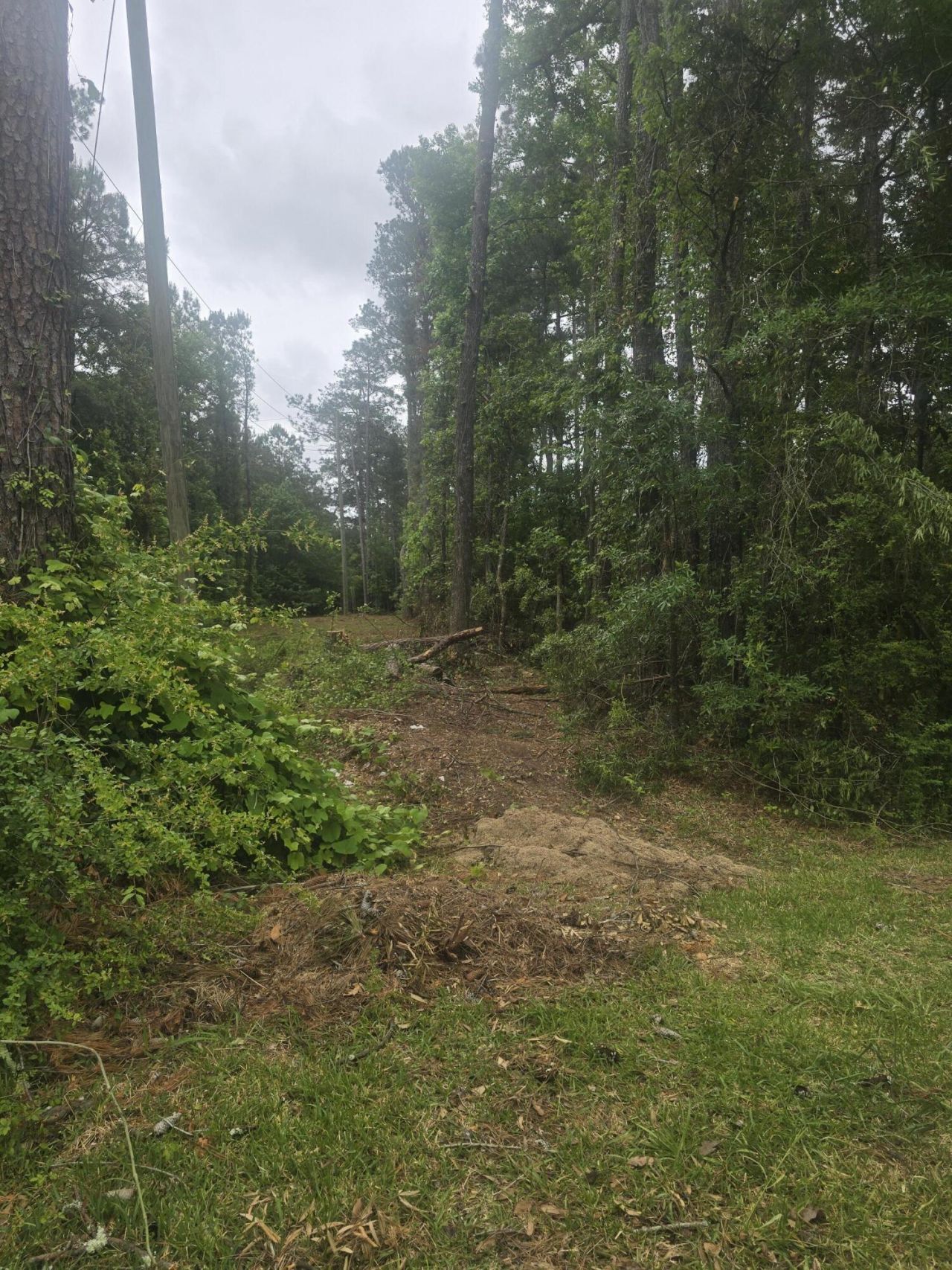 0 Pete Ewers Drive Photo 9