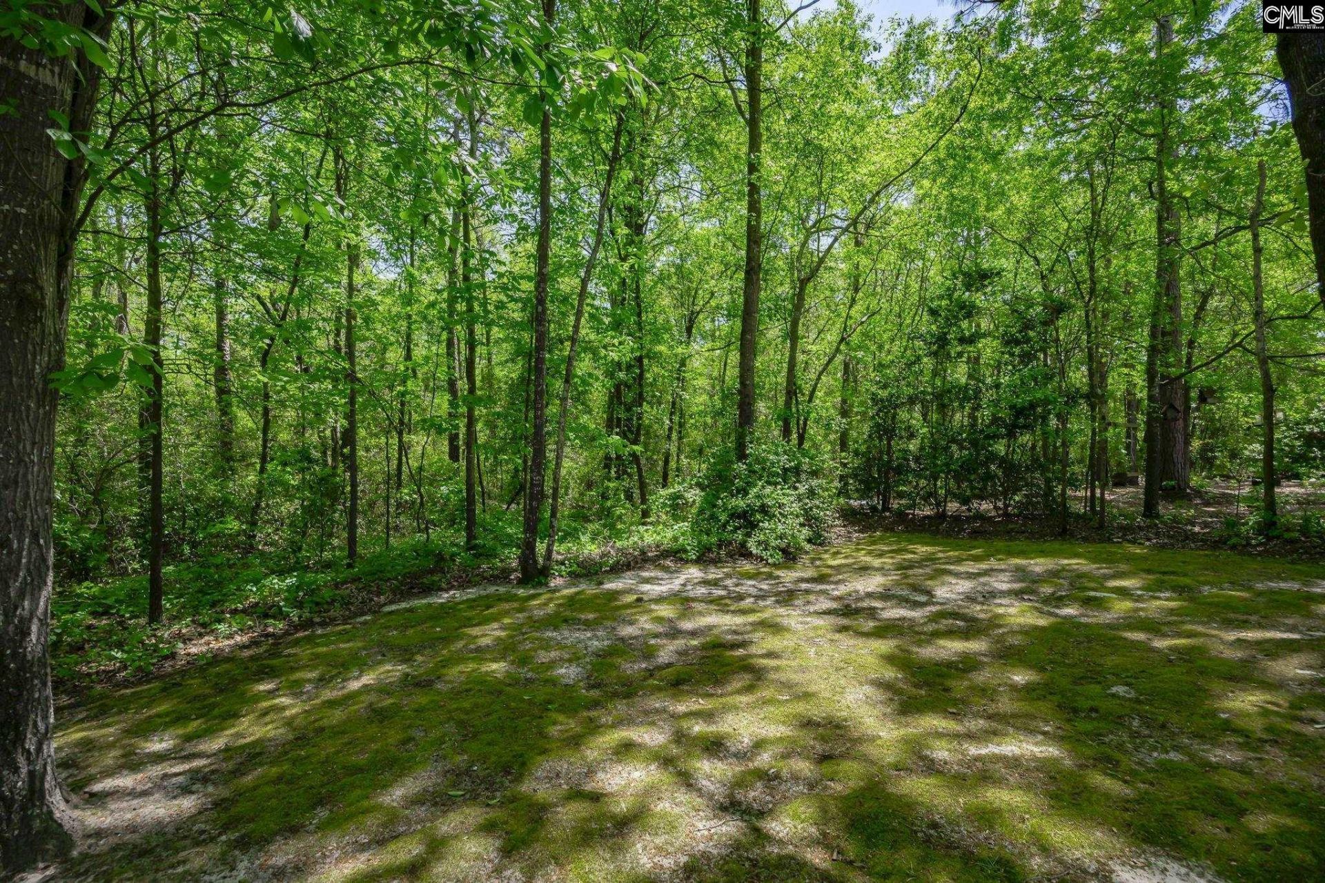 124 Cobblers Glen Court Photo 49