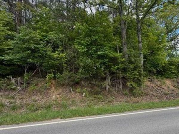 0 Grassy Hill RD , Boones Mill, VA 24065