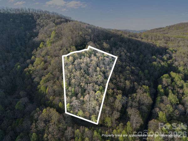 58 Mountain Azalea Drive , Swannanoa, NC 28778