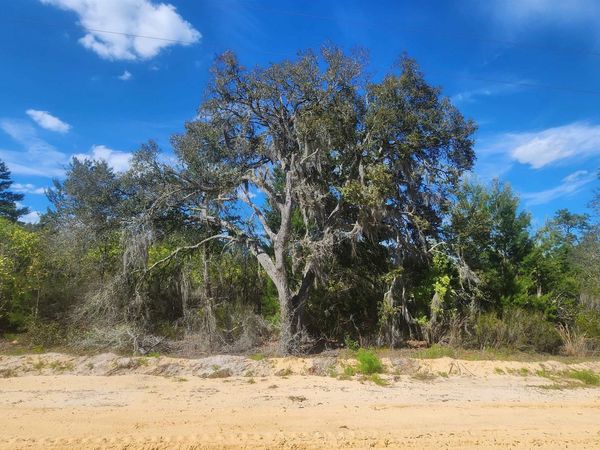 0 Birch St, Interlachen, FL 32148