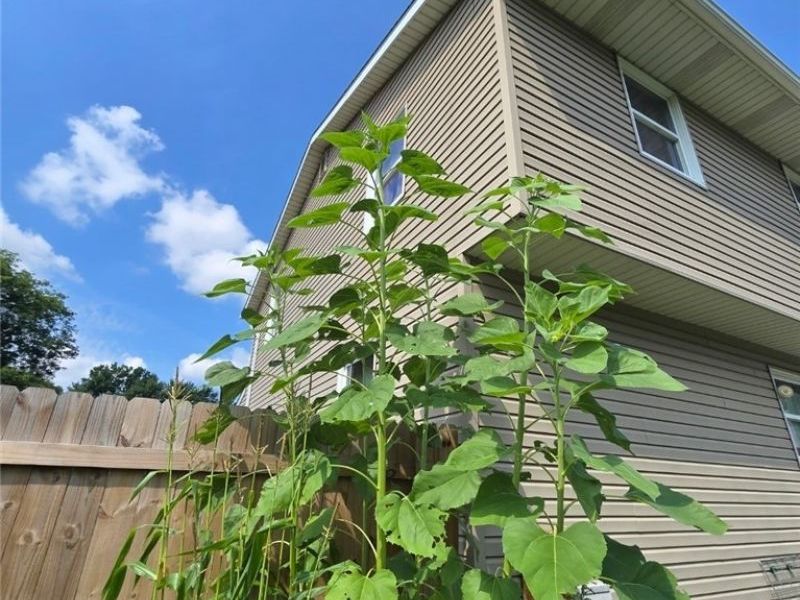 12208 Yuma Circle NW, Uniontown, OH 44685 Photo 27